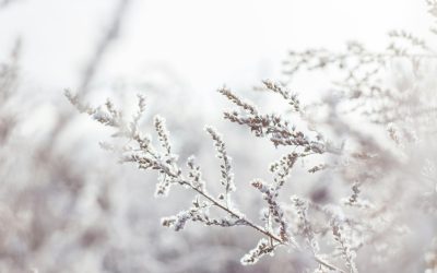 How To Dress For Cold Weather With These 5 Winter Travel Items That Actually Work Everywhere